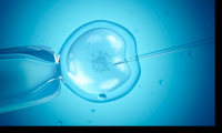 Supersticiones y tradiciones para la transferencia de embriones