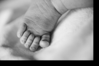 Lo que los cristianos deben saber sobre la adopcin de embriones