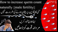 Ashwagandha para la fertilidad masculina