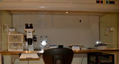 laboratorio