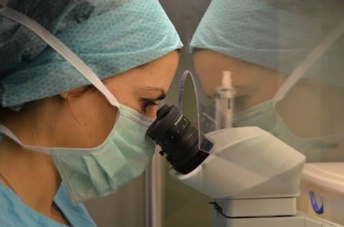 Investigacion