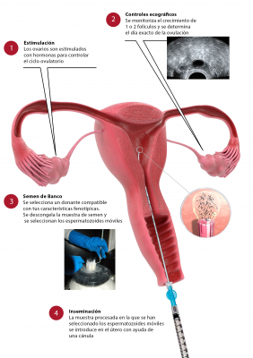 Foto CEFER Instituto de Reproducci�n