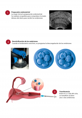 Foto CEFER Instituto de Reproducci�n