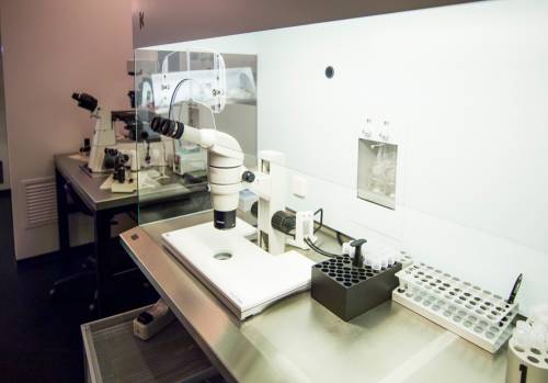 Laboratorio ART