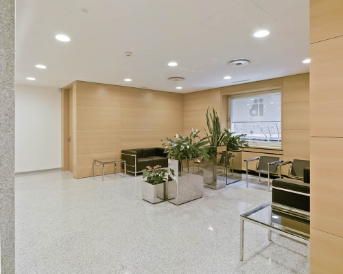 Recepci�n Instituto Bernabeu Madrid
