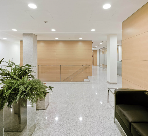 Recepci�n Instituto Bernabeu Madrid