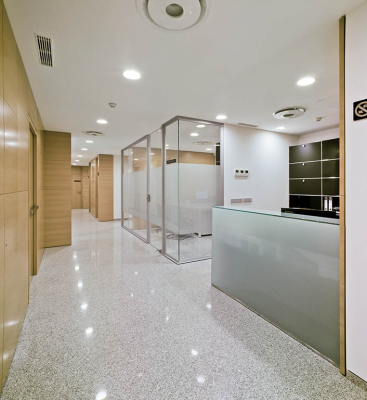 Recepci�n Instituto Bernabeu Madrid