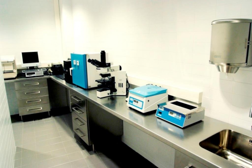 Laboratorio Instituto Bernabeu Albacete