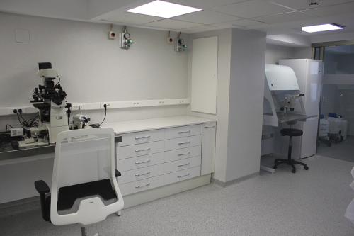 Laboratorio de Cristal Ginemed Valencia Consuelo