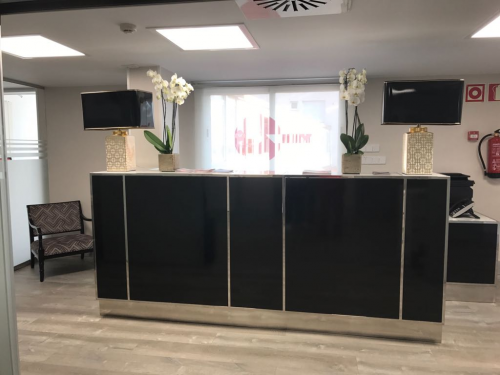 Recepci�n Ginemed Madrid Pardo de Aravaca