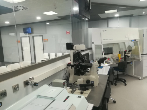 Laboratorio Ginemed Huelva