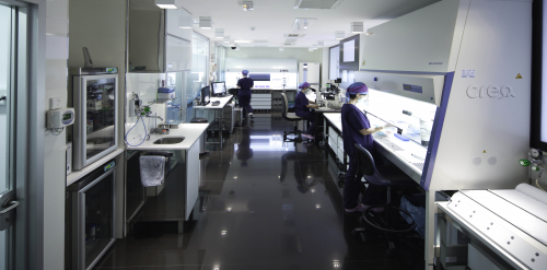 Foto CREA MEDICINA DE LA REPRODUCCION