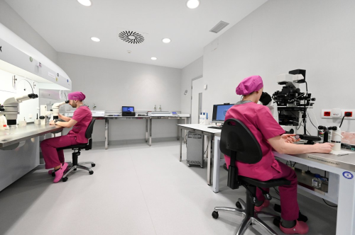 Vida Medicina Reproductiva Cantabria - Instalaciones 5