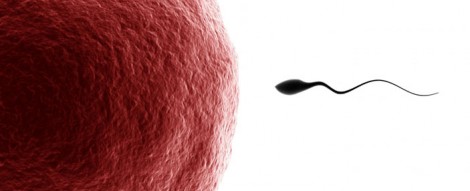Foto Mater Reproducci�n Asistida