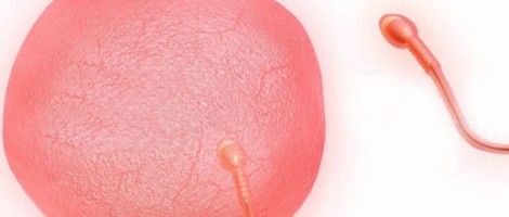 Foto Mater Reproducci�n Asistida