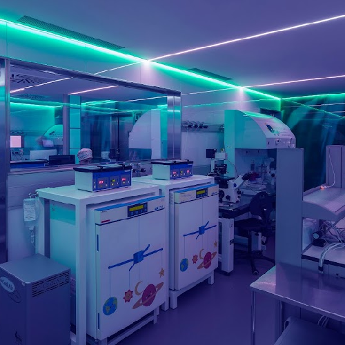 Foto Institut Marqu�s