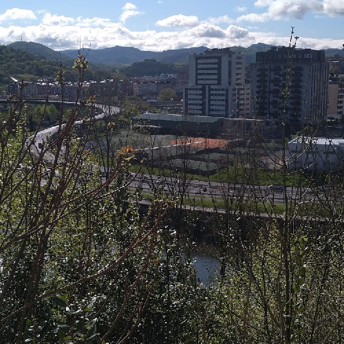 Foto Quir�n San Sebasti�n