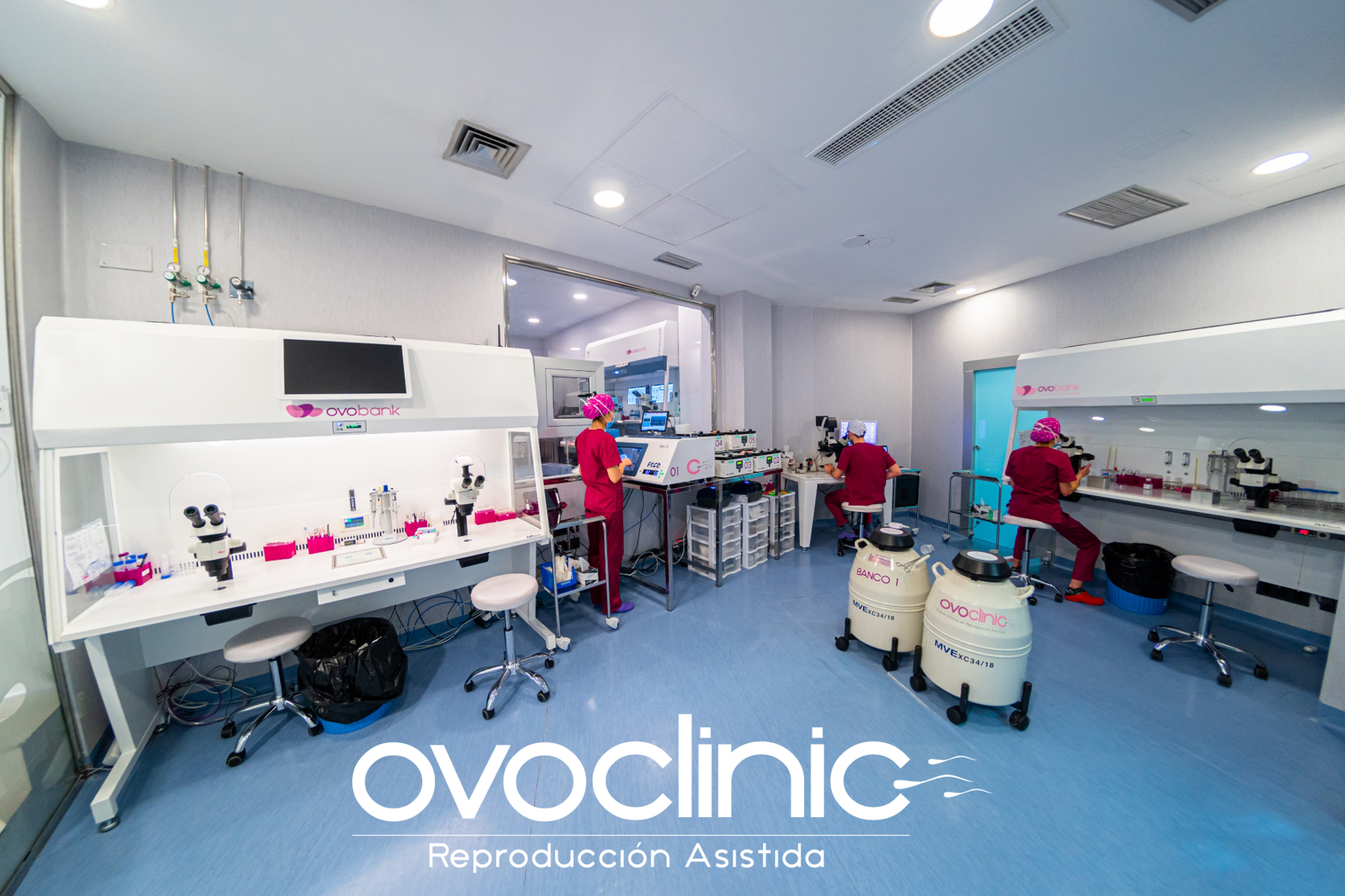 Dudas frecuentes en pacientes de Fecundaci�n in Vitro