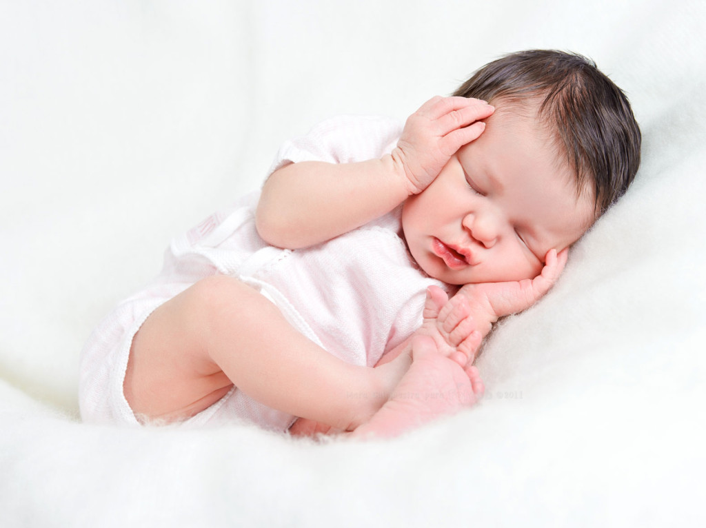 Diferencias entre cigoto, embri�n y feto