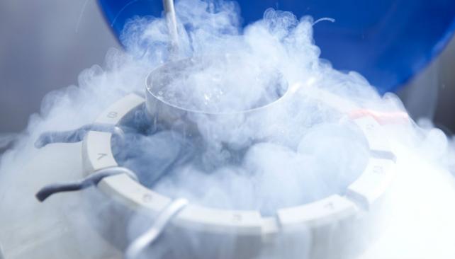 Detener el reloj biol�gico: preservaci�n de la fertilidad